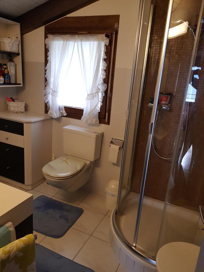 Hotel Platten Apartment 게르사우 외부 사진
